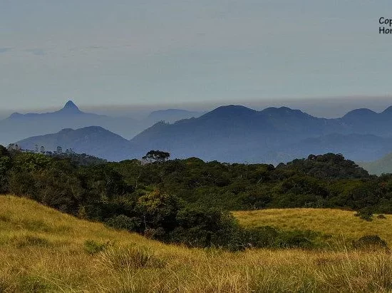 Horton Plains National Park