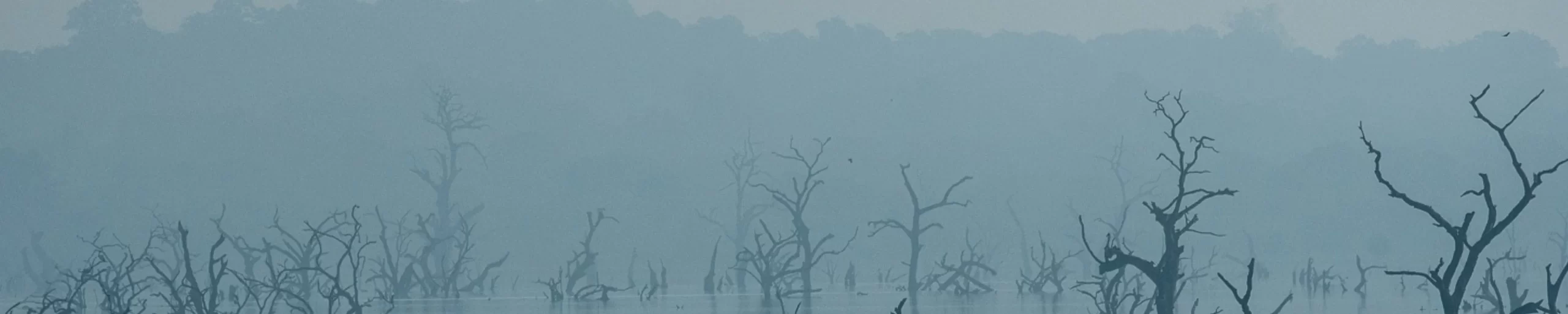 Udawalawa National Park