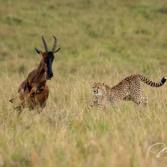 Maasai Mara National Reserve