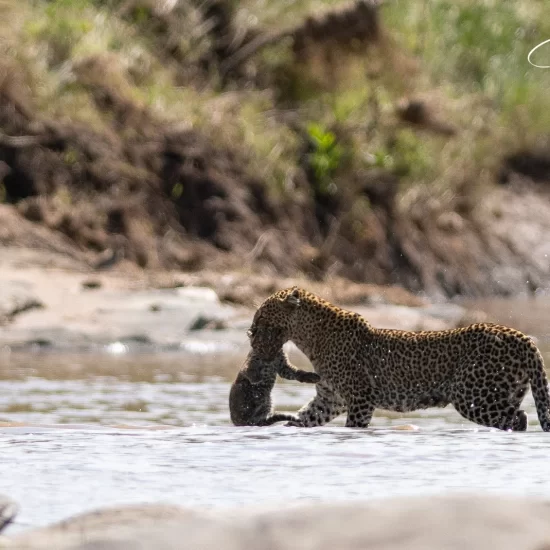 Maasai Mara National Reserve