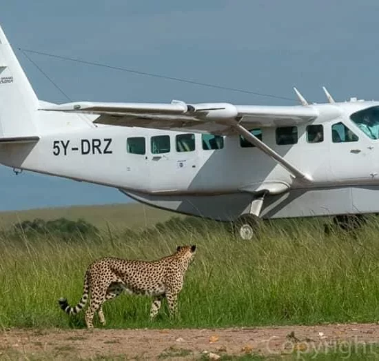 Maasai Mara National Reserve