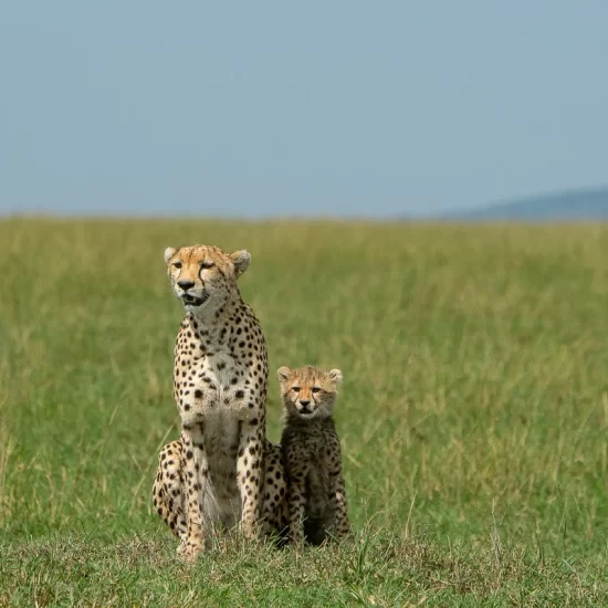 Maasai Mara National Reserve