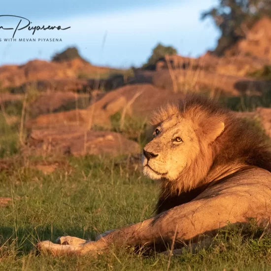 Maasai Mara National Reserve